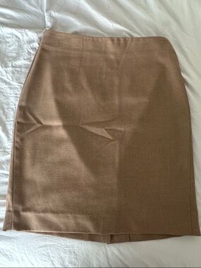Banana Republic Pencil Skirt